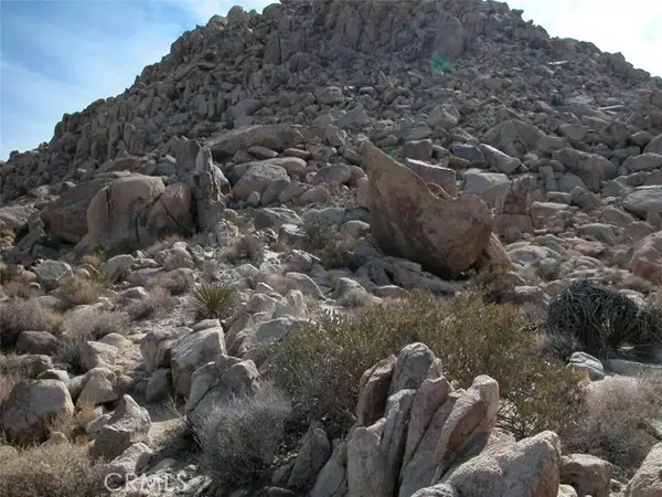 Joshua Tree, CA 92252,9 Stoney Crest Road