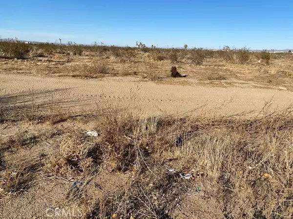 Adelanto, CA,0 MOJAVE/VERBENA