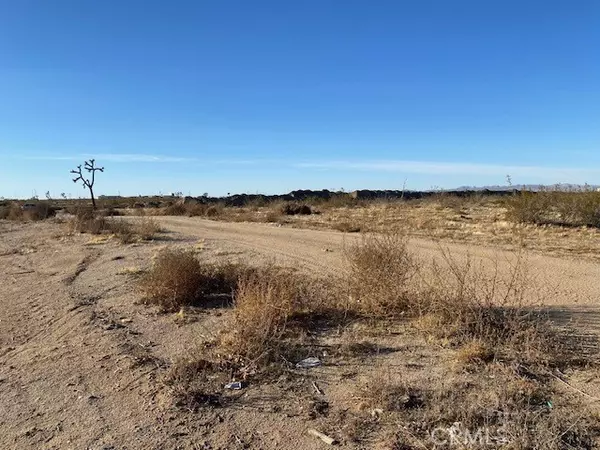 Adelanto, CA,0 MOJAVE/VERBENA