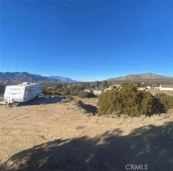 Mountain Center, CA 92561,69170 Buckthorn