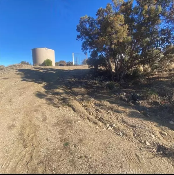 Mountain Center, CA 92561,69170 Buckthorn