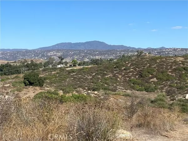Hemet, CA 92544,10 Gray Squirrel Lot 10