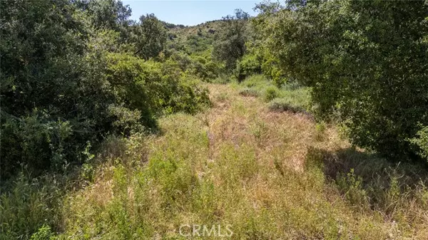 Trabuco Canyon, CA 92678,0 Danielle Lane