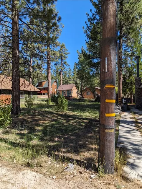 Big Bear Lake, CA 92315,39424 Ruby Lane