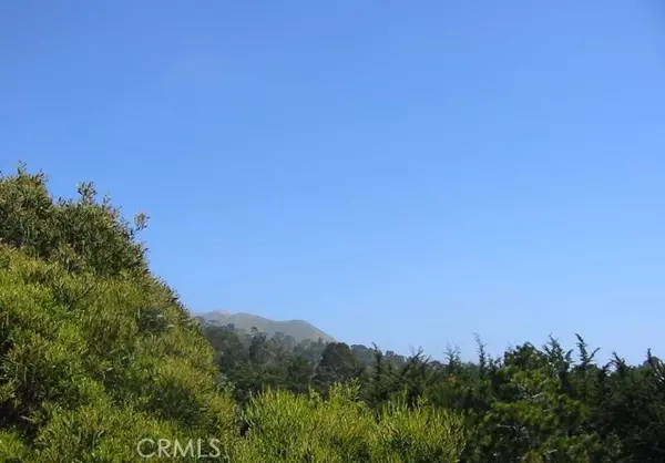 Carmel Highlands, CA 93923,195 Spindrift Road