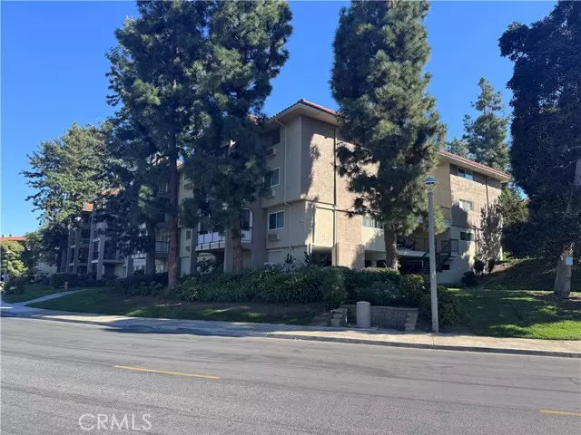 Laguna Woods, CA 92637,3241 San Amadeo