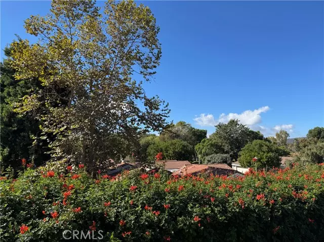 3209 Via Buena Vista, Laguna Woods, CA 92637