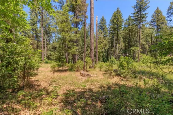 Magalia, CA 95954,0 Hidden Lake Lane