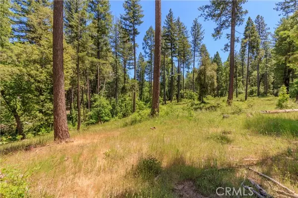 Magalia, CA 95954,0 Hidden Lake Lane