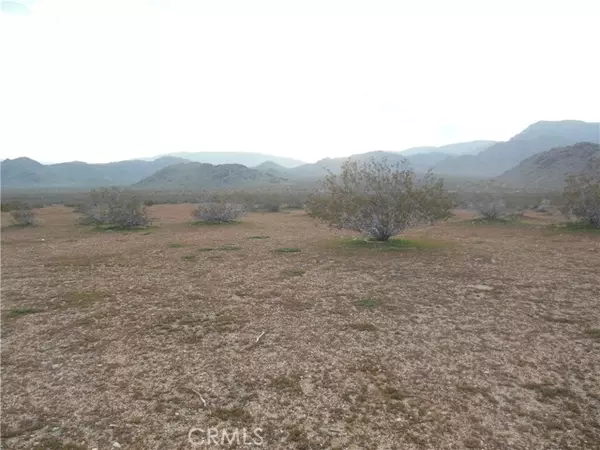 Lucerne Valley, CA 92356,1223 Lorraine@Larjoe