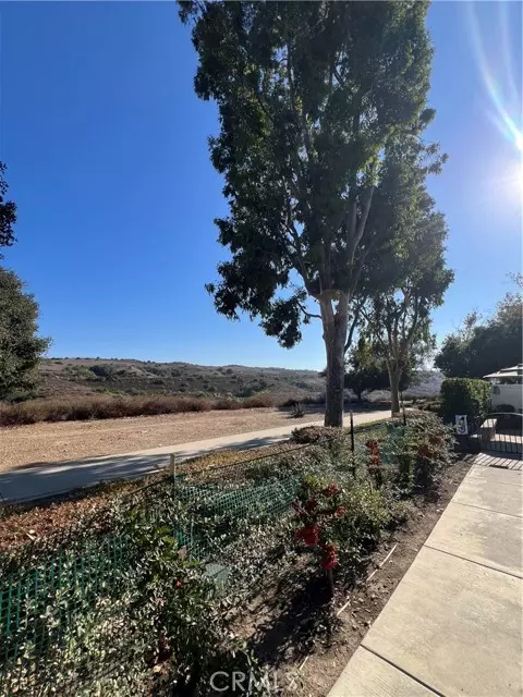 Rancho Santa Margarita, CA 92688,96 Rabano