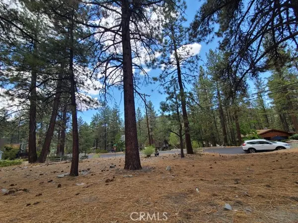 Wrightwood, CA 92397,0 Lodgepole Drive