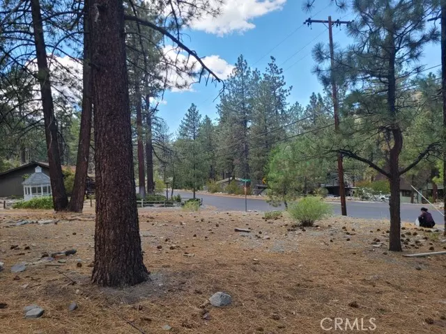 Wrightwood, CA 92397,0 Lodgepole Drive