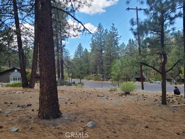 Wrightwood, CA 92397,0 Lodgepole Drive