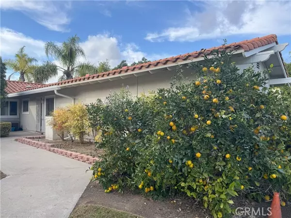 Laguna Woods, CA 92637,2039 Via Mariposa E