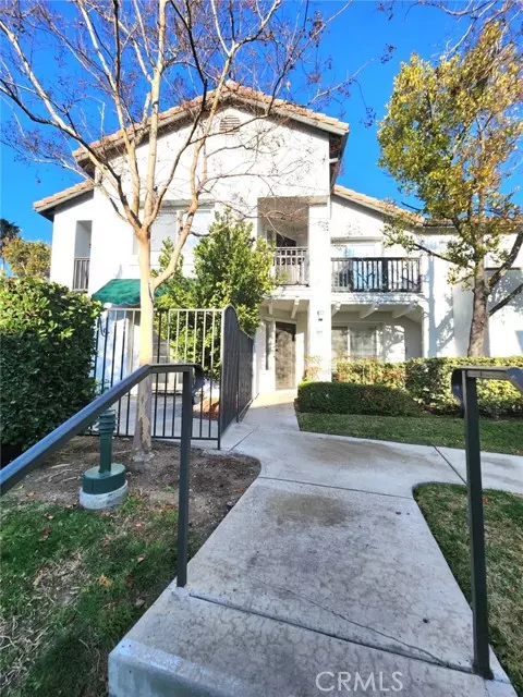 Rancho Santa Margarita, CA 92688,65 Rabano