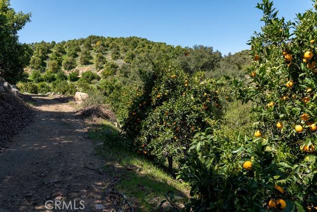 Wildomar, CA 92530,11 Stage Road