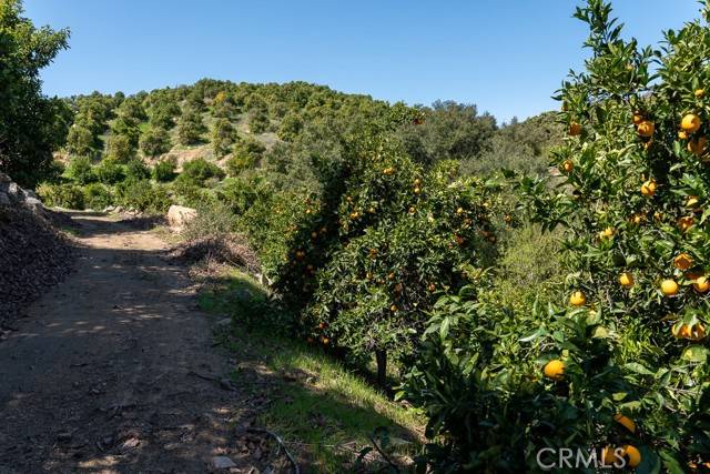 Wildomar, CA 92530,11 Stage Road