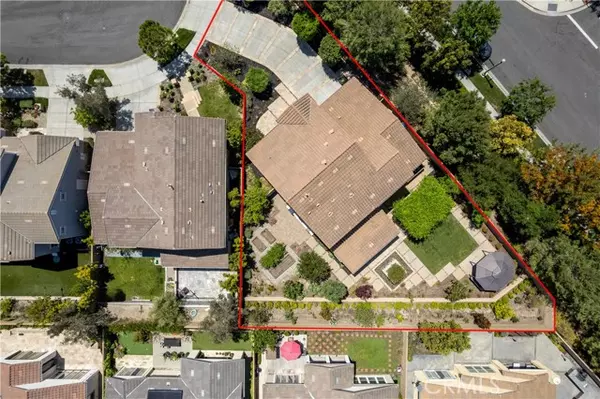 Irvine, CA 92618,165 Allium