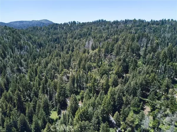 Boulder Creek, CA 95006,0 Lodge Road