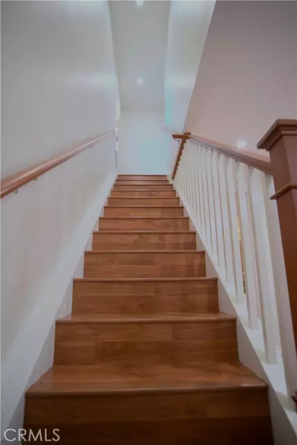 Irvine, CA 92604,10 Raleigh