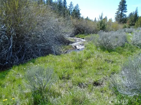 Alturas, CA 96101,0 Hogan Court