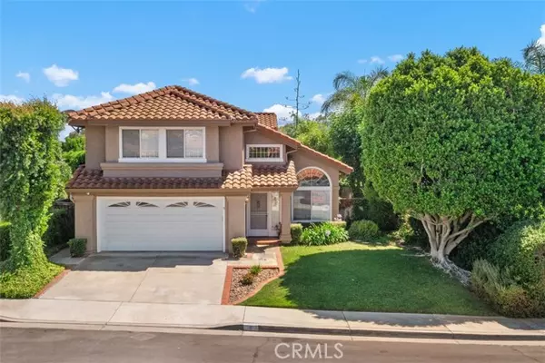 Rancho Santa Margarita, CA 92688,8 Danta