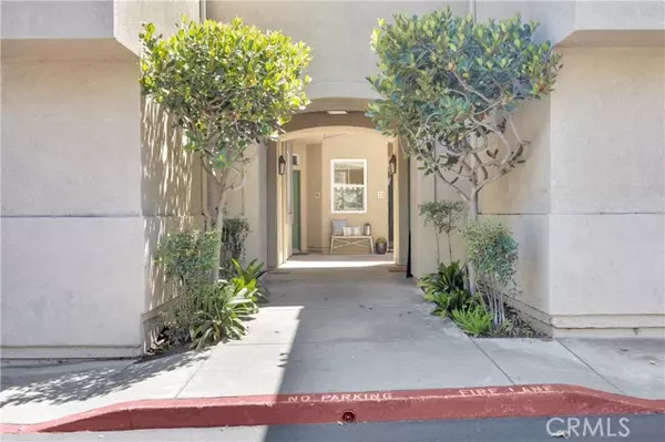 Trabuco Canyon, CA 92679,12 Mesquite