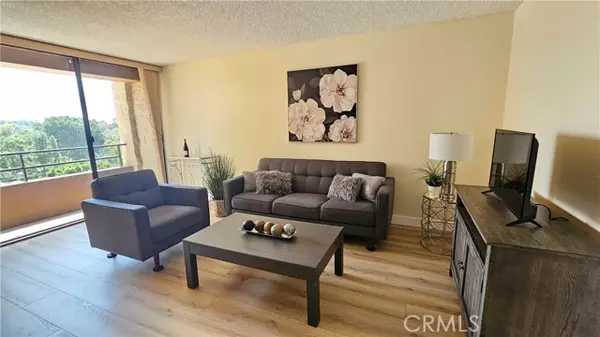 Laguna Woods, CA 92637,24055 Paseo Del Lago