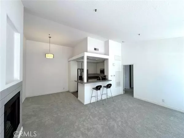 Aliso Viejo, CA 92656,209 Cinnamon Teal