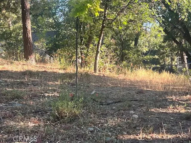 Arrowbear, CA 92382,0 Hardy