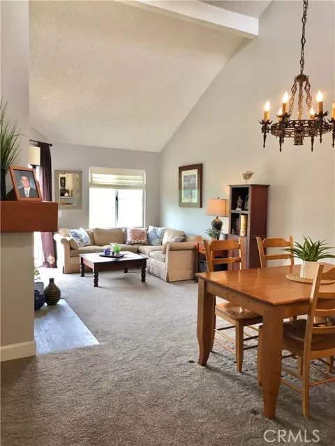 Rancho Santa Margarita, CA 92688,9 Lobelia