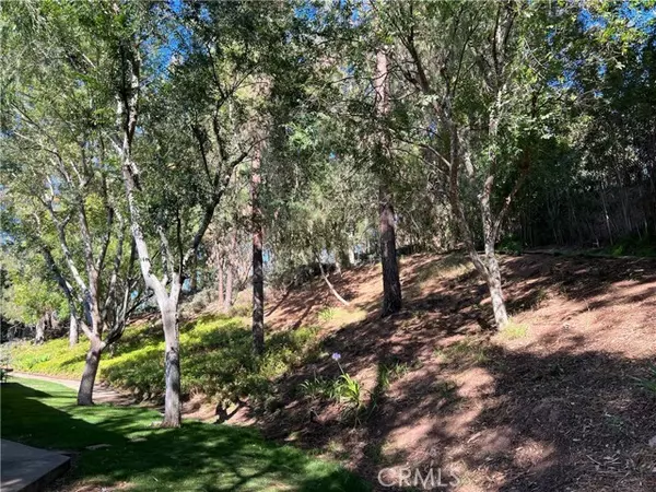 22042 Caminito Vino, Laguna Hills, CA 92653