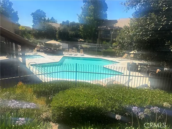 Irvine, CA 92618,25 Tangelo