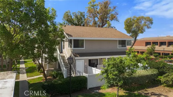 Irvine, CA 92618,69 Tarocco