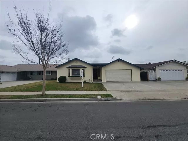 Cypress, CA 90630,6652 Sambar