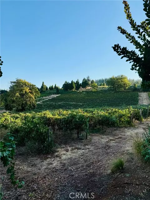 Camino, CA 95709,2781 Larsen