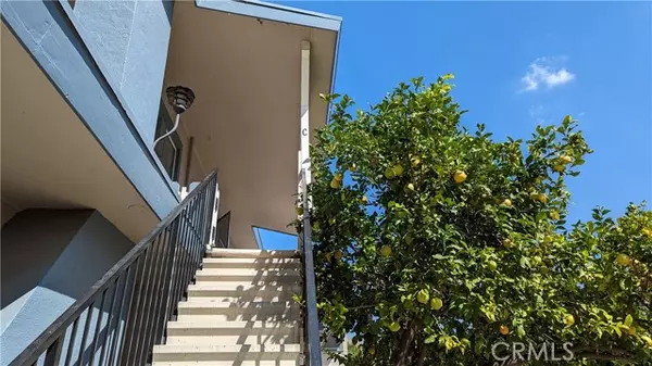 Anaheim, CA 92805,204 South Ohio Street