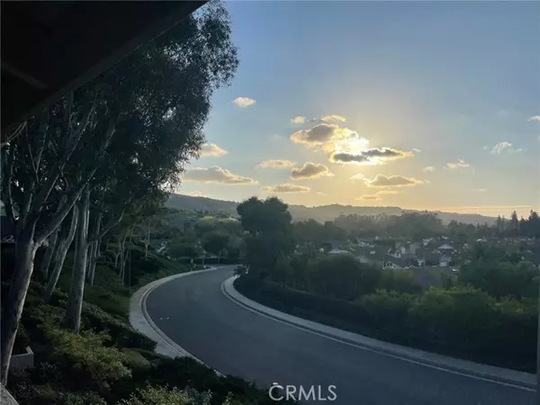 Irvine, CA 92603,16 Morning Glory