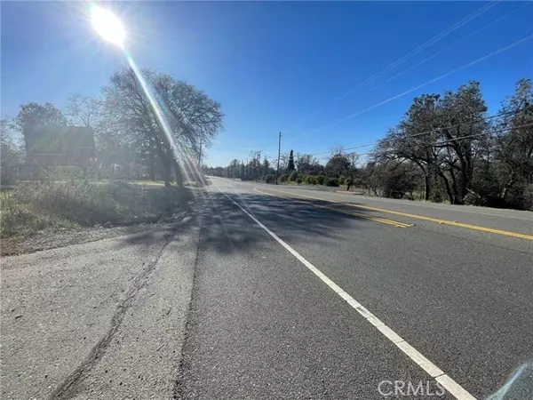 Oroville, CA 95966,0 Olive