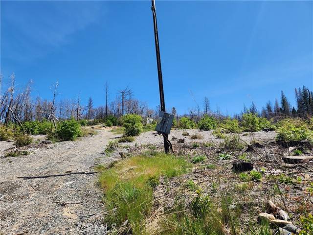 Berry Creek, CA 95916,2175 Bald Rock Road
