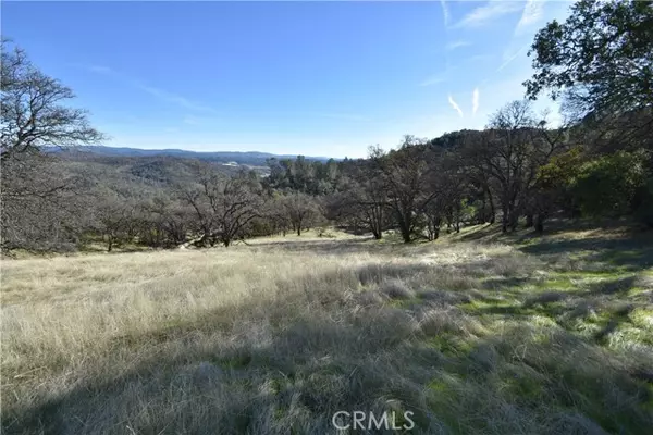 Oroville, CA 95965,1193 Oregon Gulch Road