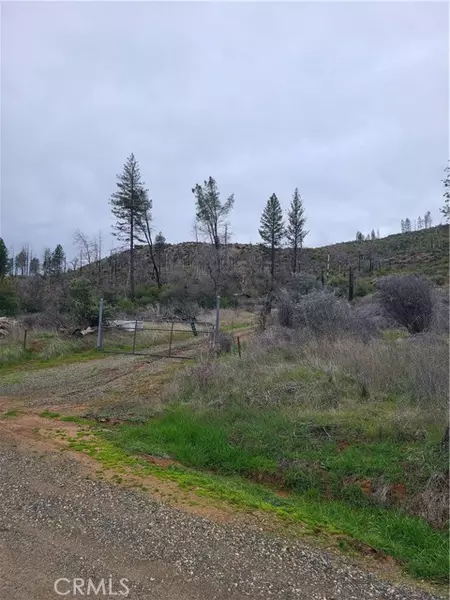 3919 Deadwood Rd, Concow, CA 95965