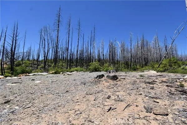 Berry Creek, CA 95916,0 Bald Rock Road