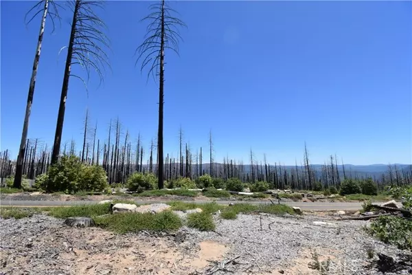 Berry Creek, CA 95916,0 Bald Rock Road