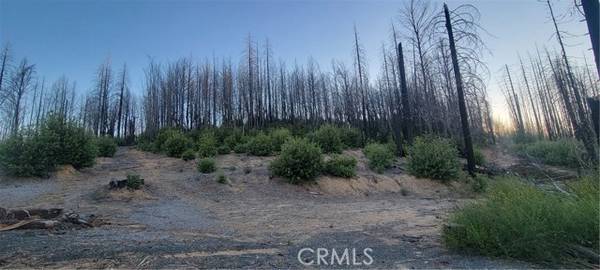 0 Bald Rock, Berry Creek, CA 95916