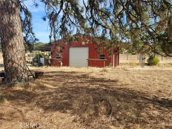 Oroville, CA 95966,0 Mission Olive