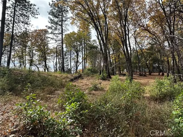 0 Bunker Hill Mine Rd, Yankee Hill, CA 95965