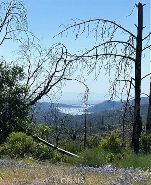 129 Cedar Tree Lane, Oroville, CA 95966