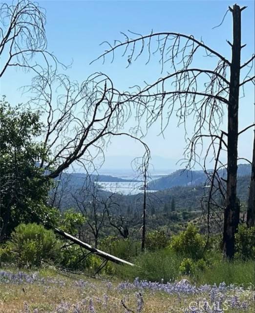 129 Cedar Tree Lane, Oroville, CA 95966